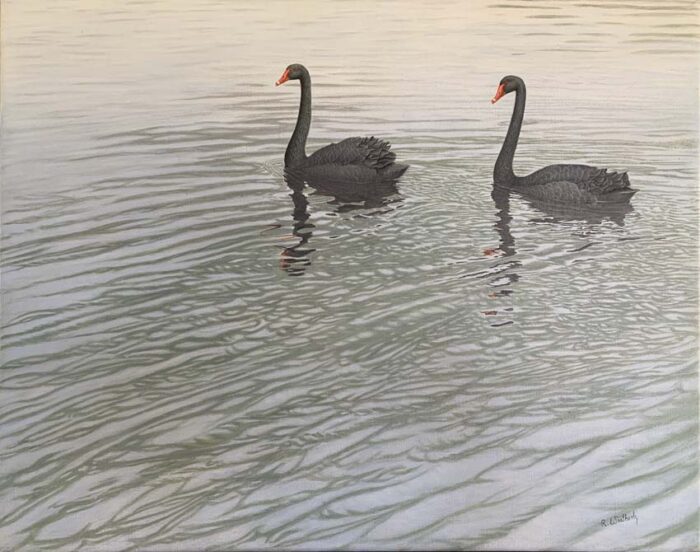 Richard Weatherly Black Swans